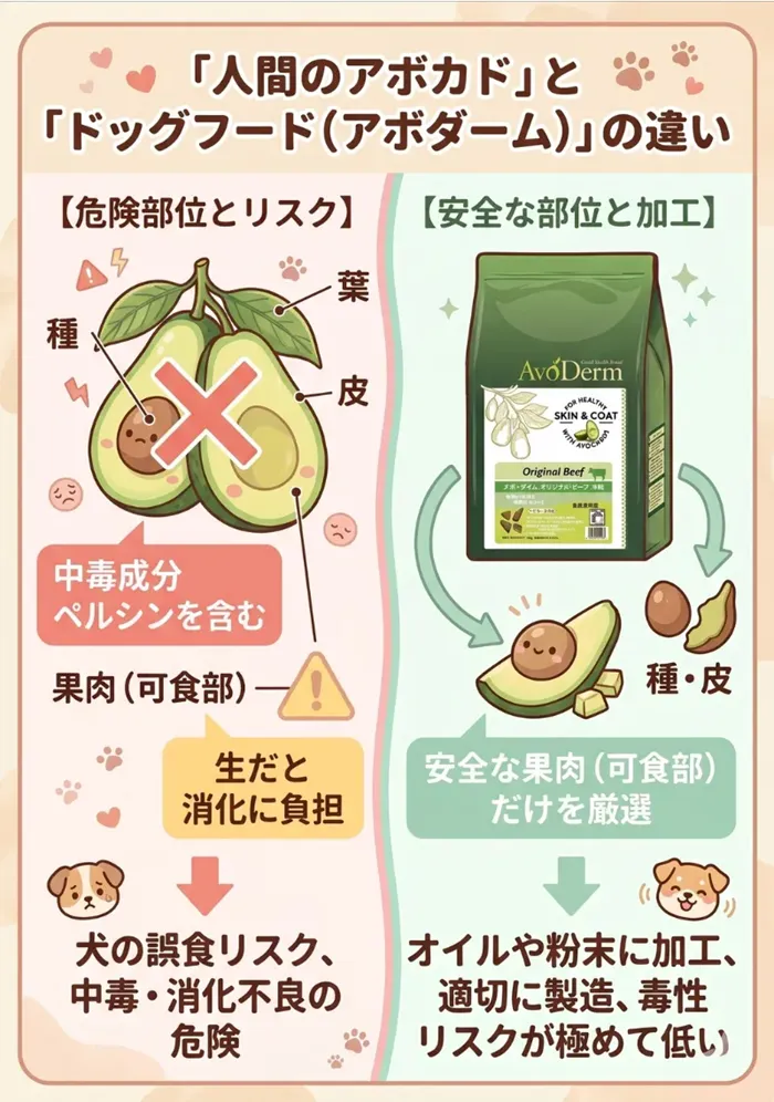 人間の食べるアボカドの危険部位とドッグフード「アボダーム」の安全な加工方法の違いを図解したイラスト
