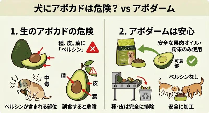 犬にとって危険な生のアボカド（ペルシンを含む種や皮）と、安全な果肉のみを使用したアボダームの違いを分かりやすく比較した図解。