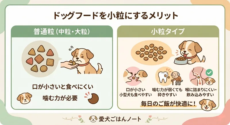 「ドッグフードを小粒にするメリット」を図解したインフォグラフィック。普通粒と小粒を比較し、小粒は小型犬やシニア犬でも食べやすく、砕きやすく、喉に詰まりにくいことを解説。