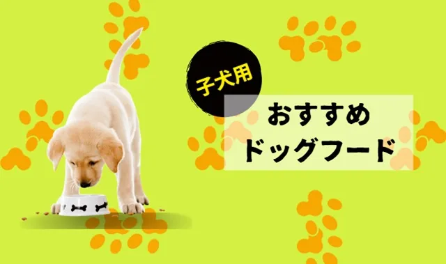 子犬におすすめのドッグフードを紹介するイメージ画像