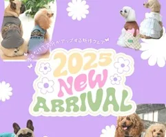 犬の服ショップカルル