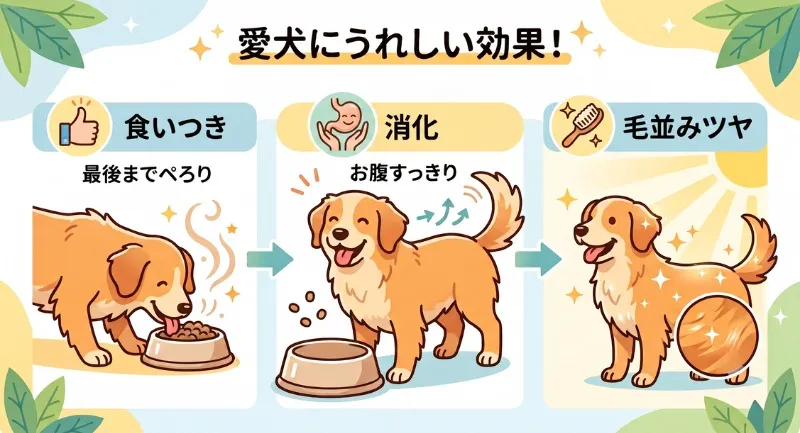 カナガンドッグフードの良い口コミ（食いつき・お腹の調子・毛並みのツヤ）を表したイラスト