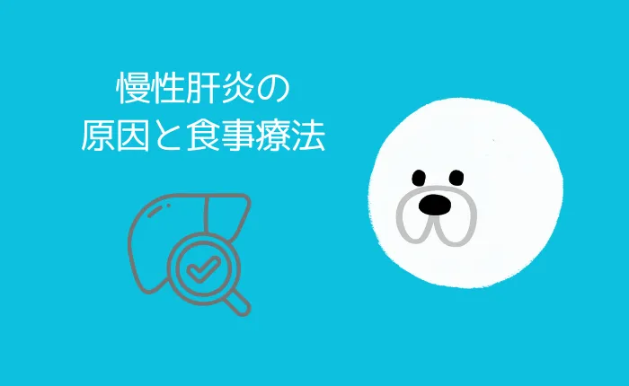 慢性肝炎の原因と食事療法をテーマにしたイラスト画像（犬と肝臓のアイコン付き）