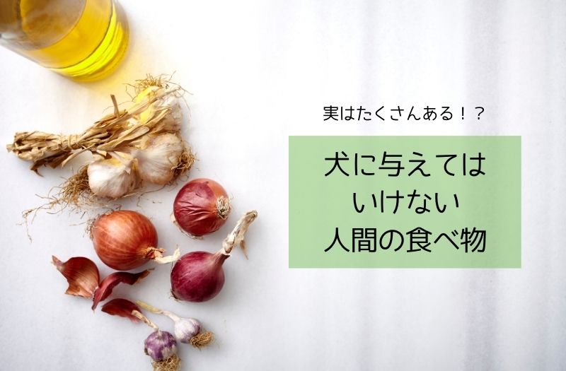 犬に与えてはいけない人間の食べ物を紹介するための警告イメージ画像