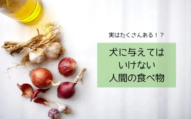犬に与えてはいけない人間の食べ物を紹介するための警告イメージ画像