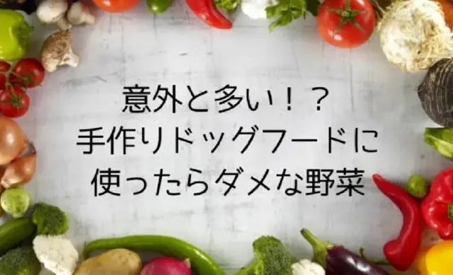 手作りドッグフードに使ってはいけない野菜を示す注意喚起のイメージ画像
