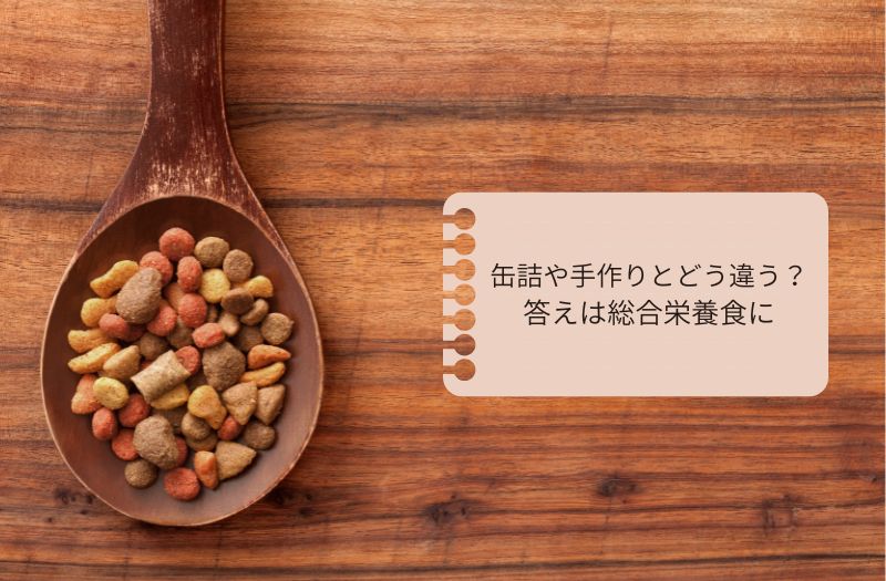 犬の総合栄養食と缶詰・手作りごはんの違いを示すイメージ