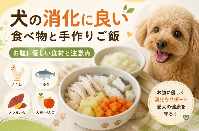 「犬の消化に良い食べ物と手作りご飯」を紹介するイラスト。笑顔のトイプードルと、鶏ささみ、白身魚、さつまいも、人参が入ったドッグフードボウル、各種食材アイコンが描かれている。