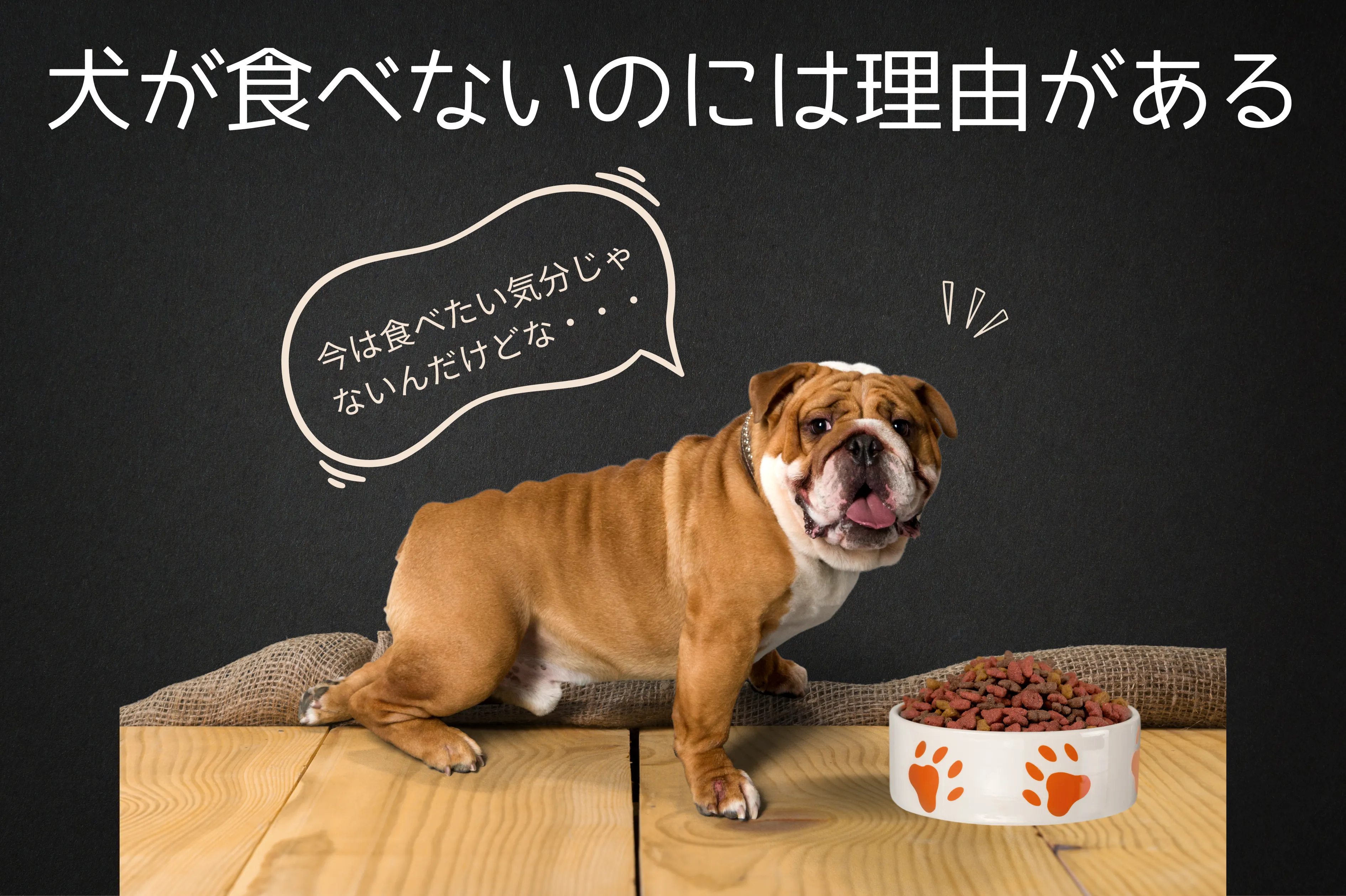 ドッグフードの前で食べたがらないブルドッグと「今は食べたい気分じゃないんだけどな…」という吹き出し