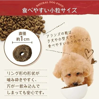 ナチュラルドッグフードを食べる犬