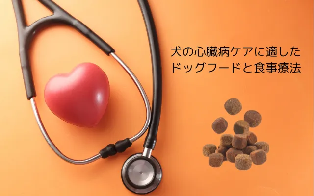 犬の心臓病ケアに適したドッグフードと聴診器のイメージ画像