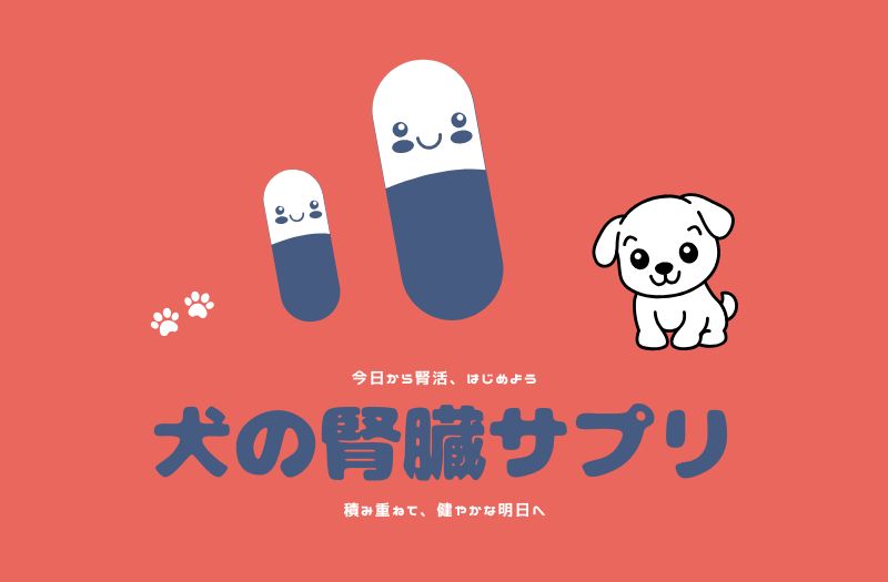 犬の腎臓サプリのアイキャッチ画像。笑顔のカプセルと子犬のイラストで“腎活”をイメージしたデザイン 🐶💊