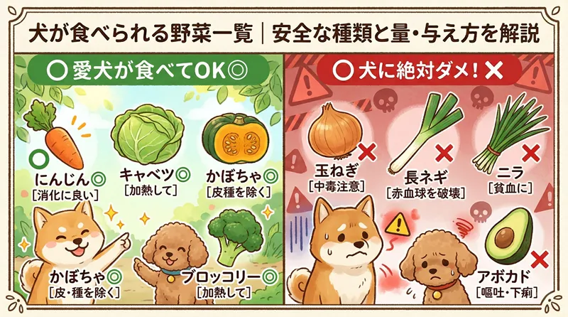 愛犬が食べられる野菜（にんじん等）と食べてはいけない危険な野菜（玉ねぎ等）のOK・NG一覧図解