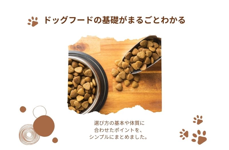 ドッグフードの粒が器に盛られた写真