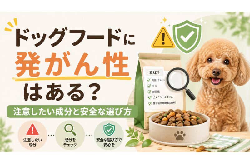 ドッグフードの発がん性が気になる方向けに注意したい成分と安全な選び方を紹介するアイキャッチ画像