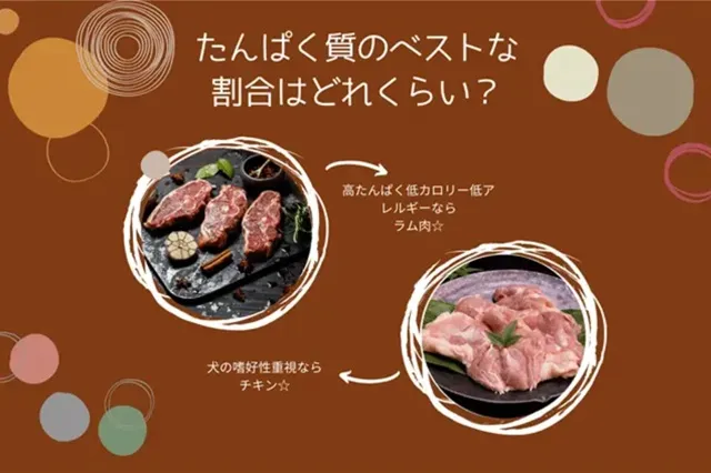 たんぱく質のベストな割合を紹介する画像。チキンは嗜好性重視、ラム肉は高たんぱく低アレルゲンの特徴を示している。