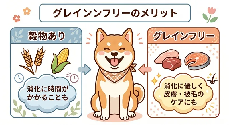 穀物入りとグレインフリードッグフードの消化や皮膚への違いを比較した図解イラスト