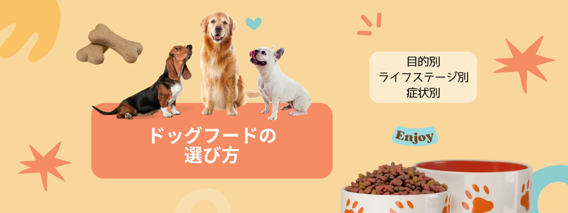 シニア犬に与えるドッグフードの違いは何？