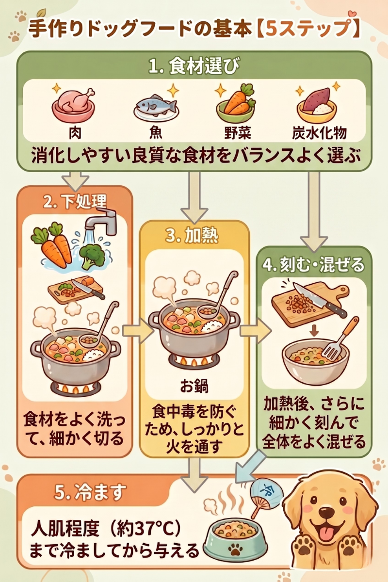 手作りドッグフードの基本5ステップ（食材選び・下処理・加熱・刻む・冷ます）を解説した図解