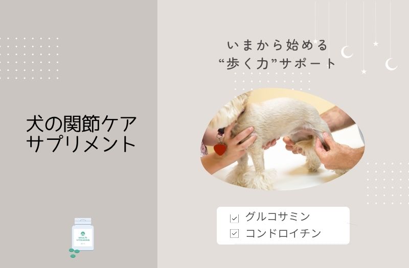 関節ケアサプリを使って脚を支えられる犬の足をケアしている様子
