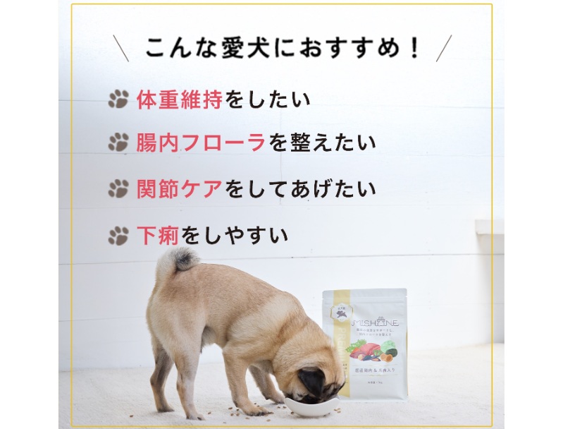 ミシュワンが向く犬向かない犬