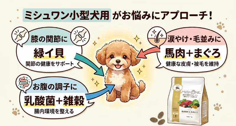 ミシュワン小型犬用がアプローチする関節・お腹・涙やけの悩みと成分の図解