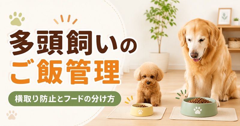 多頭飼いの犬のご飯管理と横取り防止のイメージ