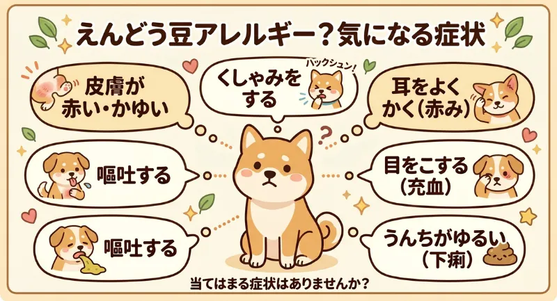 犬がえんどう豆を食べた際のアレルギー症状（目をこする、皮膚の赤み、耳をかく、下痢など）をまとめた図解イラスト