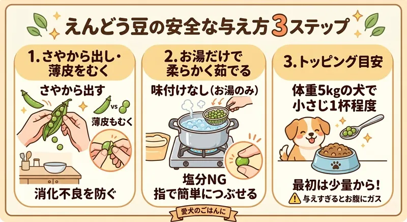 犬に安全にえんどう豆を与えるための3ステップ（さやむき、味付けなしの茹で方、適量目安）を解説したイラスト