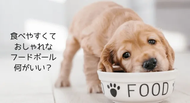 フードボウルで食事する子犬