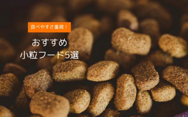 小型犬にも食べやすい小粒ドッグフードのおすすめ商品バナー