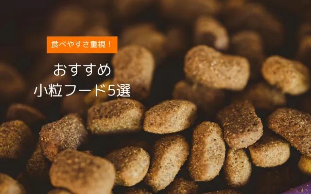食べやすさを重視した小粒タイプのドッグフード5選を紹介するバナー画像