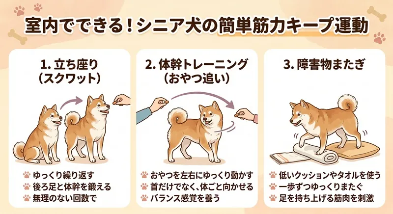 室内でできる！シニア犬の簡単筋力キープ運動（立ち座り、体幹トレーニング、障害物またぎ）を解説する図解イラスト