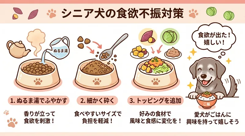 シニア犬がごはんを食べないときの工夫（ふやかす、砕く、トッピング）をまとめた図解イラスト