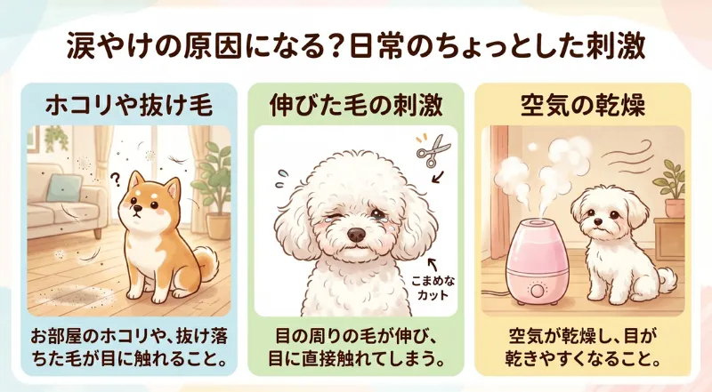 涙やけの原因になる日常の刺激を図解したイラスト。お部屋のホコリや抜け毛、伸びた毛の刺激、空気の乾燥が愛犬の目に与える影響を解説