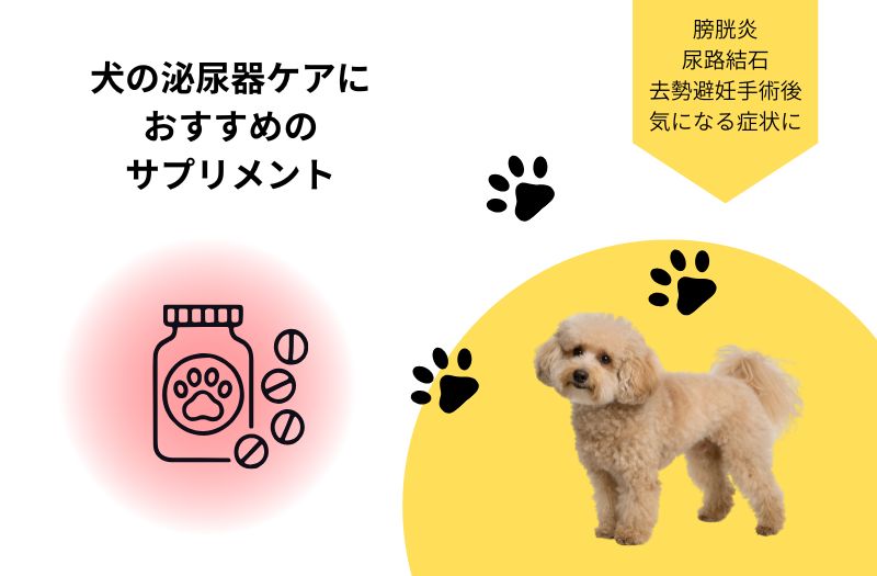 犬の泌尿器ケアにおすすめのサプリメントをイメージしたイラストと小型犬の写真