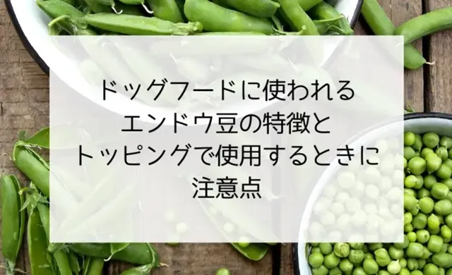 エンドウ豆（ピース）が入ったドッグフードの安全性とは｜アレルギーの心配は？