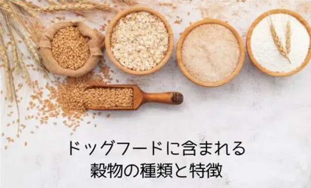 ドッグフードに使われる穀物の種類と特徴