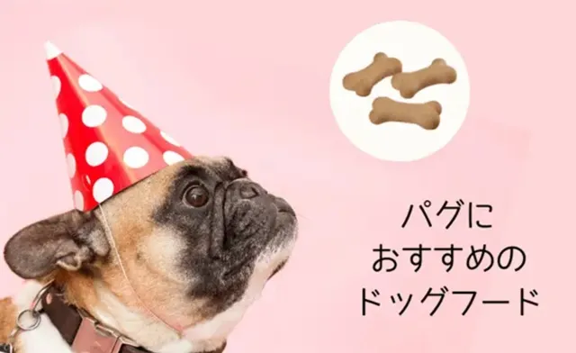 パグにぴったりのドッグフード選び｜呼吸器や体重管理に配慮した食事とは