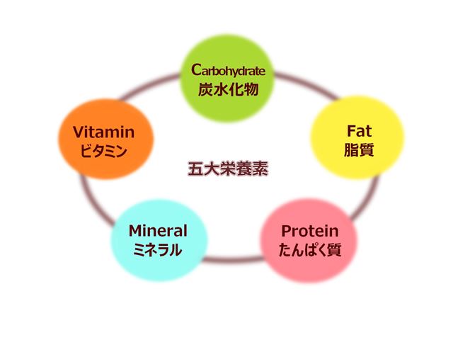 五大栄養素