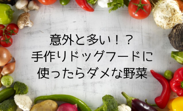 手作りドッグフードに使うおすすめの野菜とダメな野菜