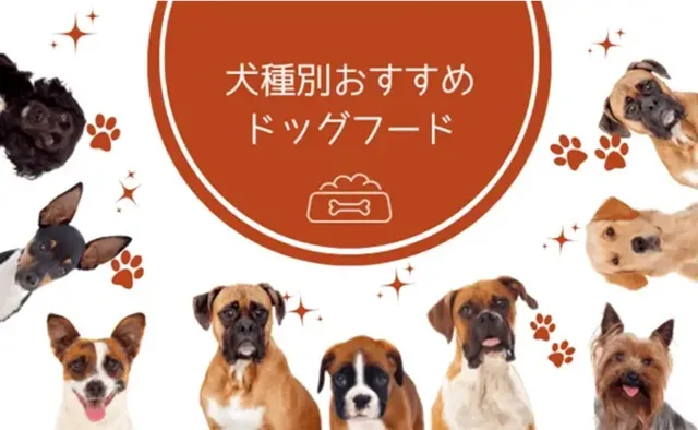 犬種別ドッグフードの選び方｜小型犬・中型犬・大型犬に合うフードを徹底解説